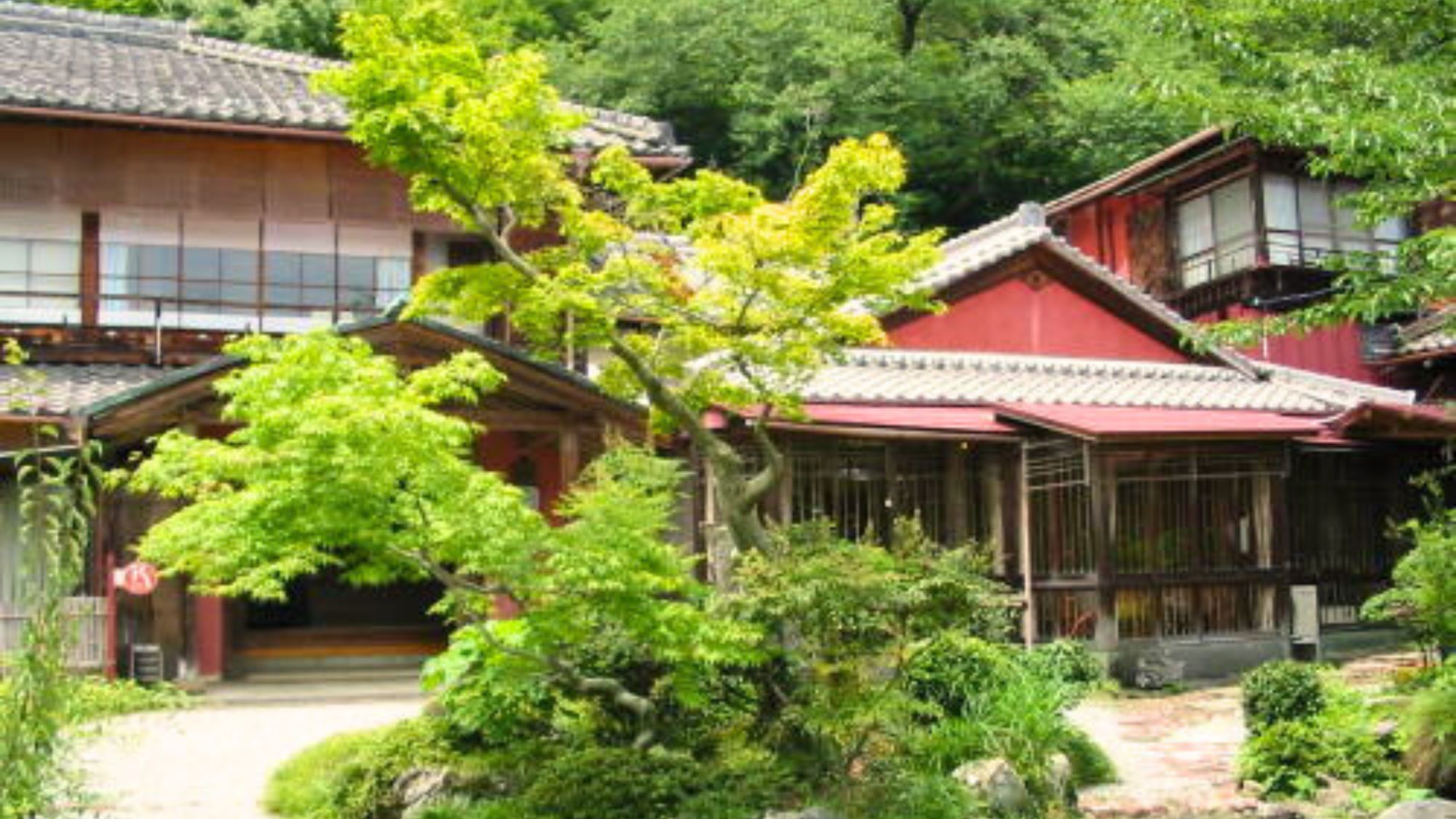 新緑に包まれた千歳楼。
