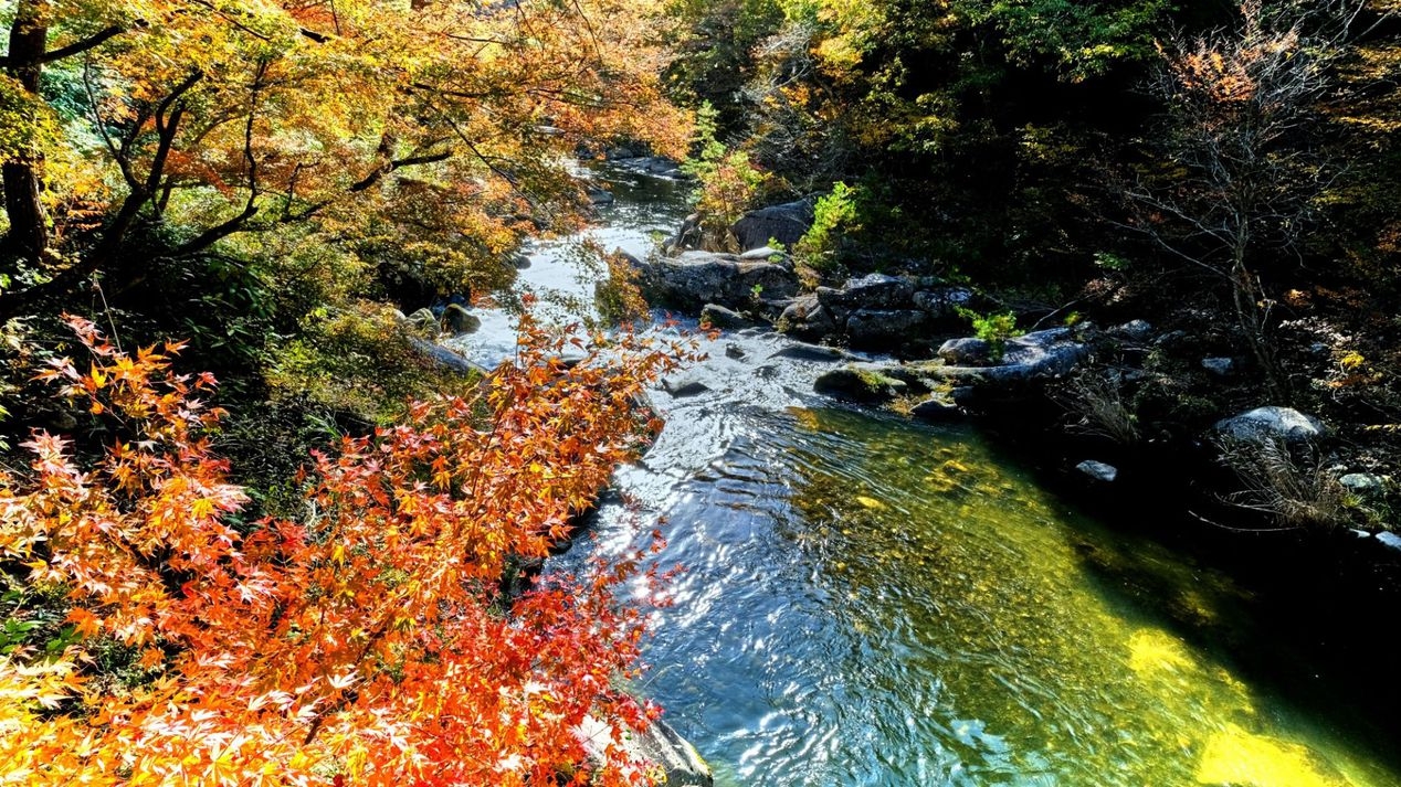 【昇仙峡ほろ酔いツアー】ブリュワリー＆ワイナリーを巡る大人旅〇常磐自慢の会席と信玄の湯で充実STAY