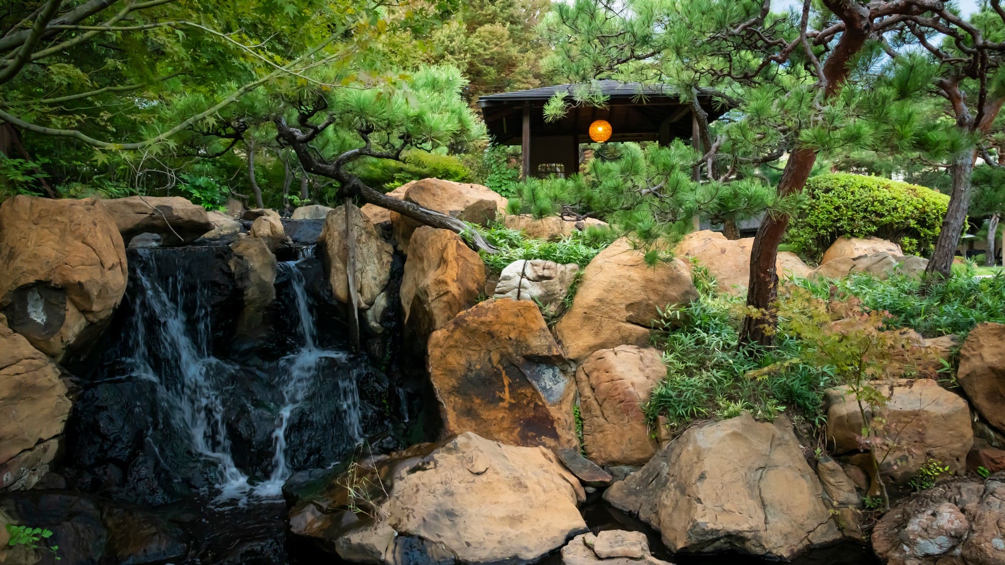 松を基調とした情緒豊かな日本庭園