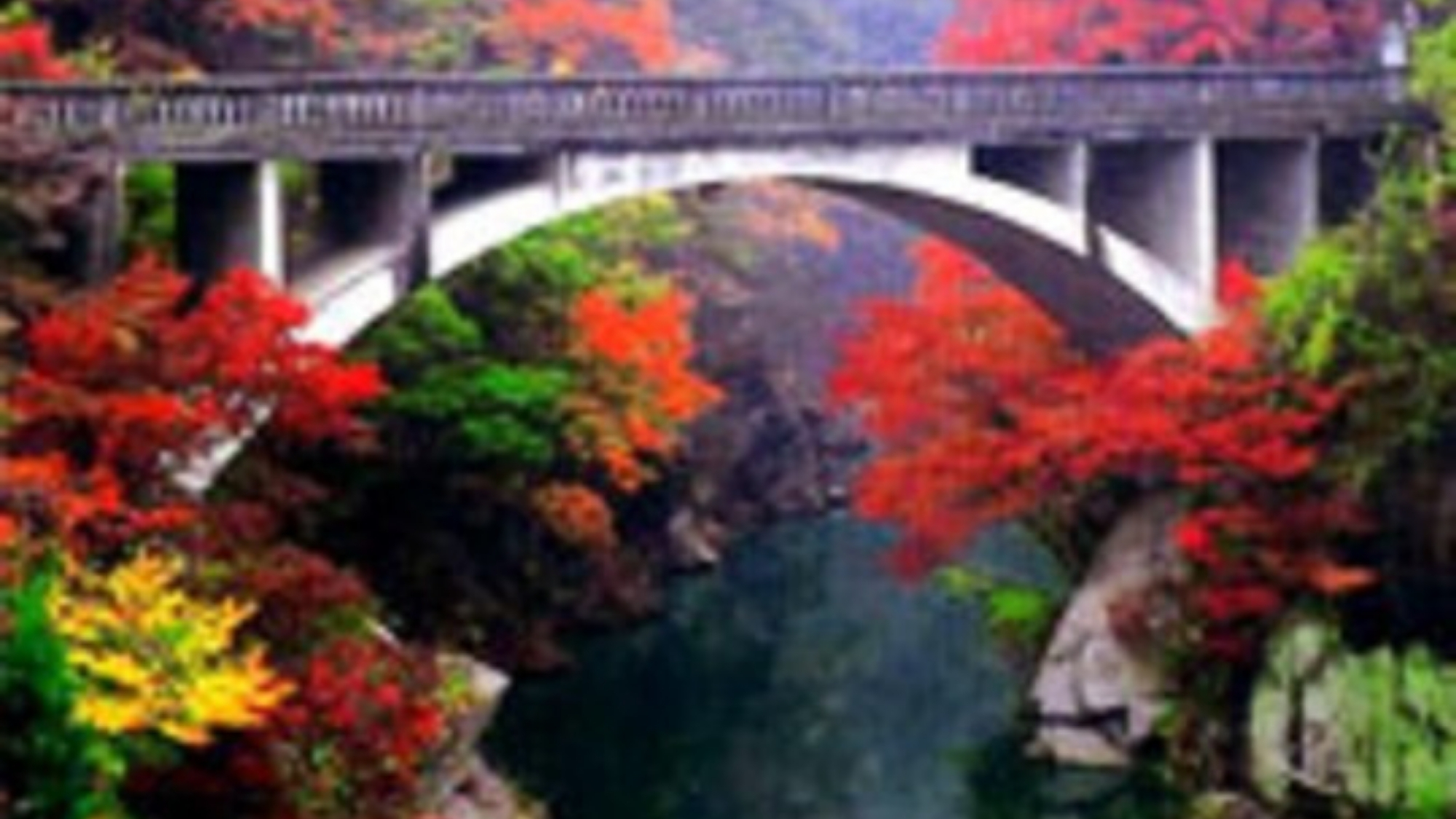 信玄の湯 湯村温泉 常磐ホテル - 写真 181
