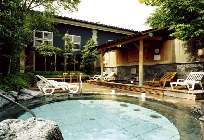 【古河市・いちの湯入浴券付き】大浴場とサウナでリフレッシュ！駐車場無料！【二食付き】