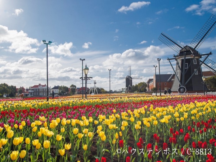 【早割９０日前・１DAYパスポート付】ハウステンボスで遊ぼう♪朝食付きステイ（朝食付）