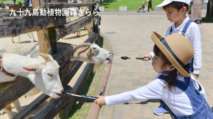 森きららイメージ