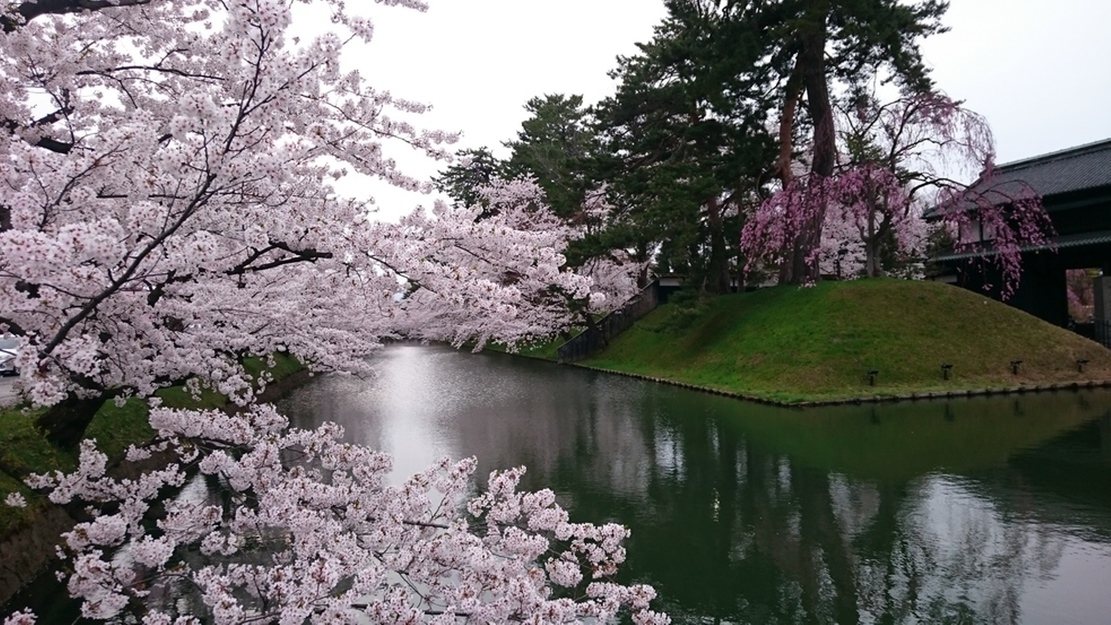 【直前割】まだ間に合う〜弘前城の花筏（はないかだ）★夕食はバイキング＆アルコール飲み放題＜1泊2食＞