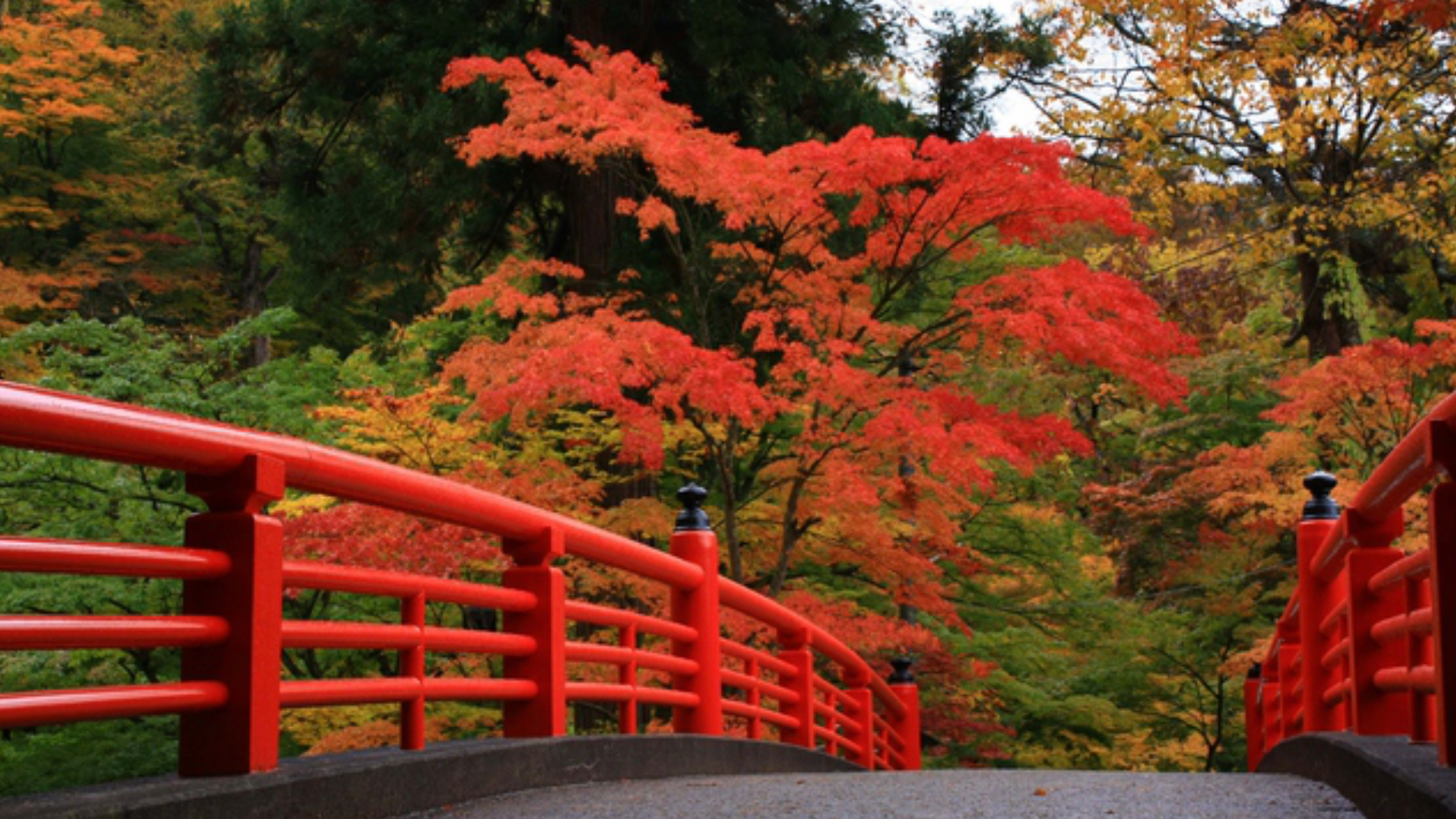 【中野紅葉山】当館から車で60分
