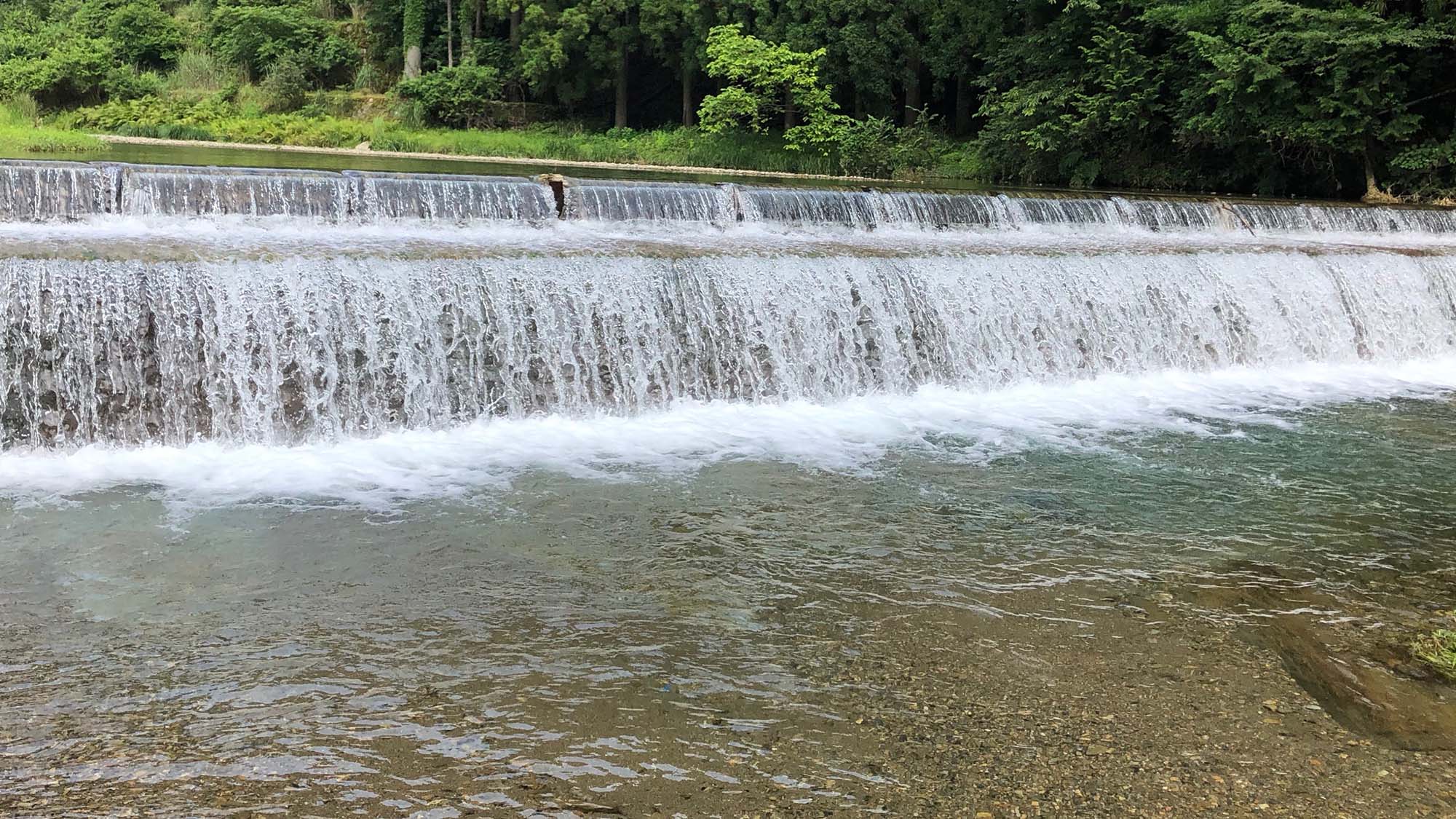 ・当館向かいの、底まで透きとおる小川で遊んでいただけます