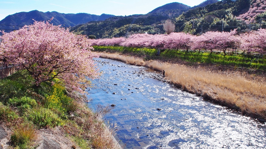 【さき楽30】早春♪早めのご予約で夕朝食付きがお得に泊まれる＜創作会席＞