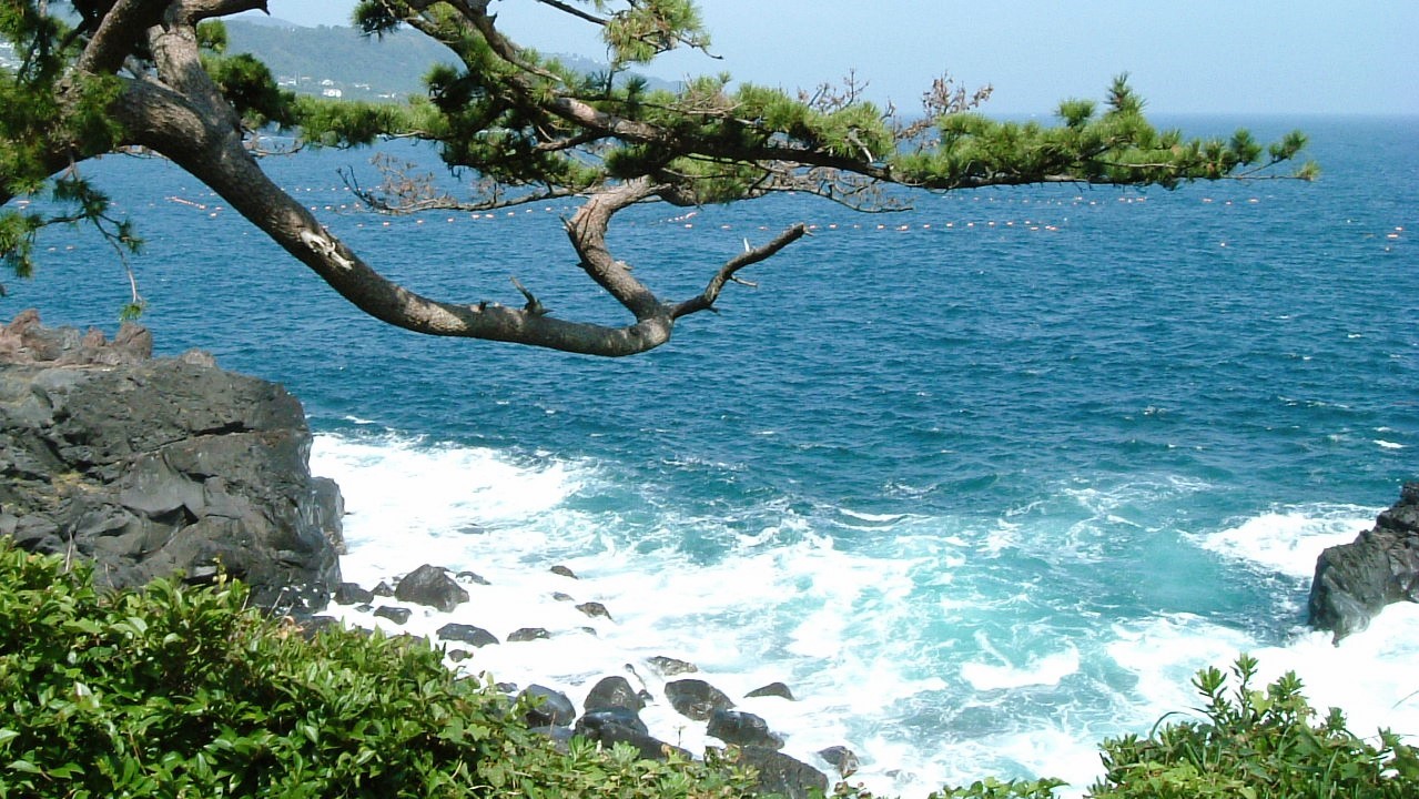 【城ヶ崎海岸】溶岩で出来た城ケ崎海岸はまさに絶景　当館より車で約20分！
