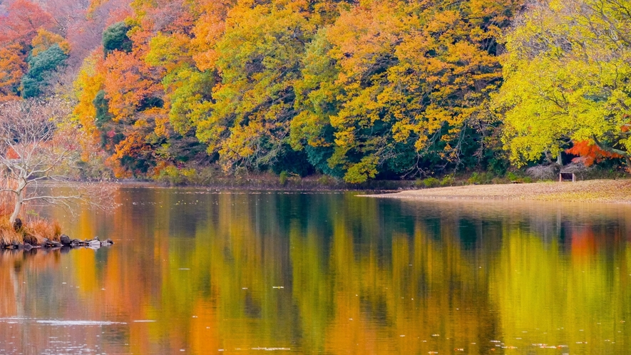 【一碧湖】別名“伊豆の瞳”日本百景にも選出された一碧湖
