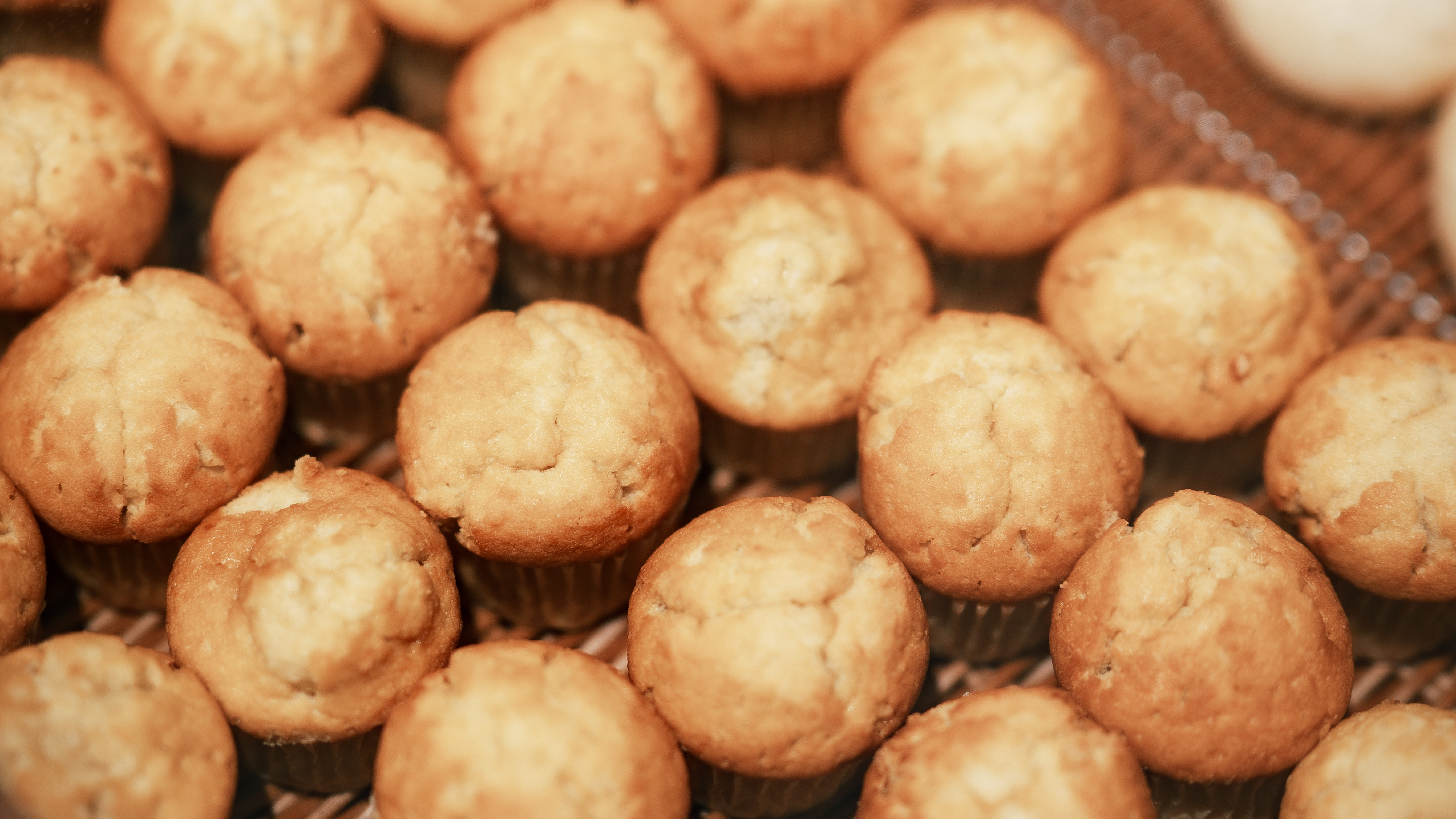 ★【朝食バイキング（一例）】自然を眺めるレストランで、みんなで楽しいお食事を♪