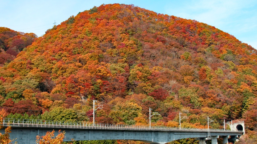 *【鬼怒川の紅葉（イメージ）】色とりどりに色づく山々は、秋だけの特別な景色です。