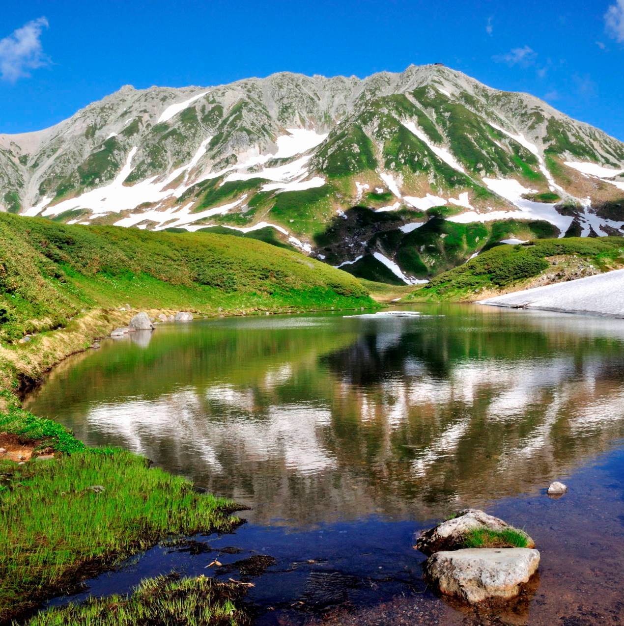 夏の立山室堂みくりが池