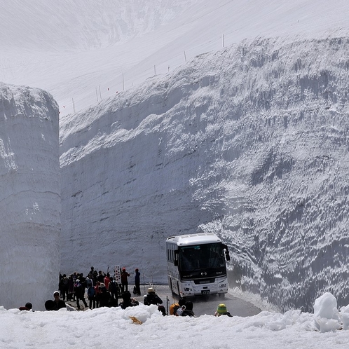 高さ約２０メートルに迫る雪の壁の中を歩く歩行者天国。迫力ある「雪の壁」
