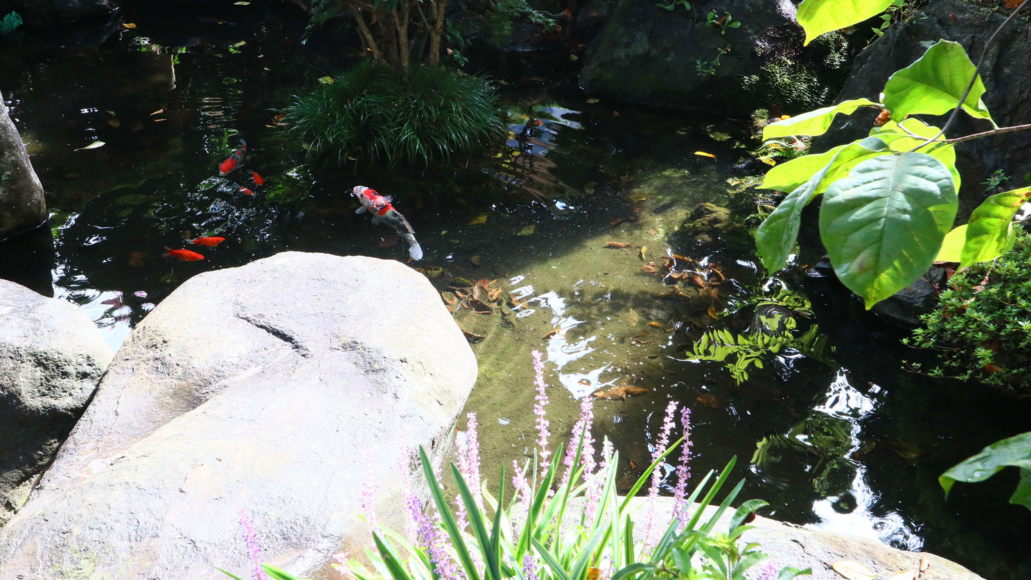 【朝食付】一日のスタートは和朝食！元気いっぱいいってらっしゃい★