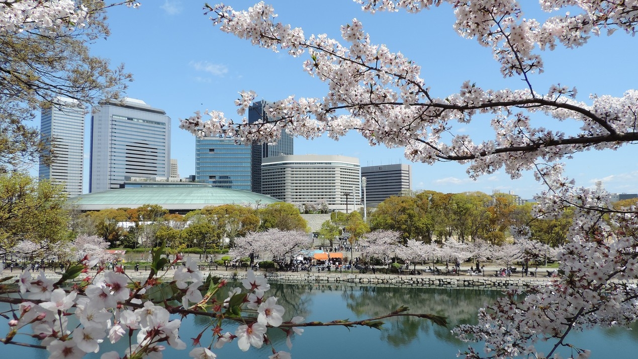 【春SALE】人気のお部屋がお得！（素泊まり）