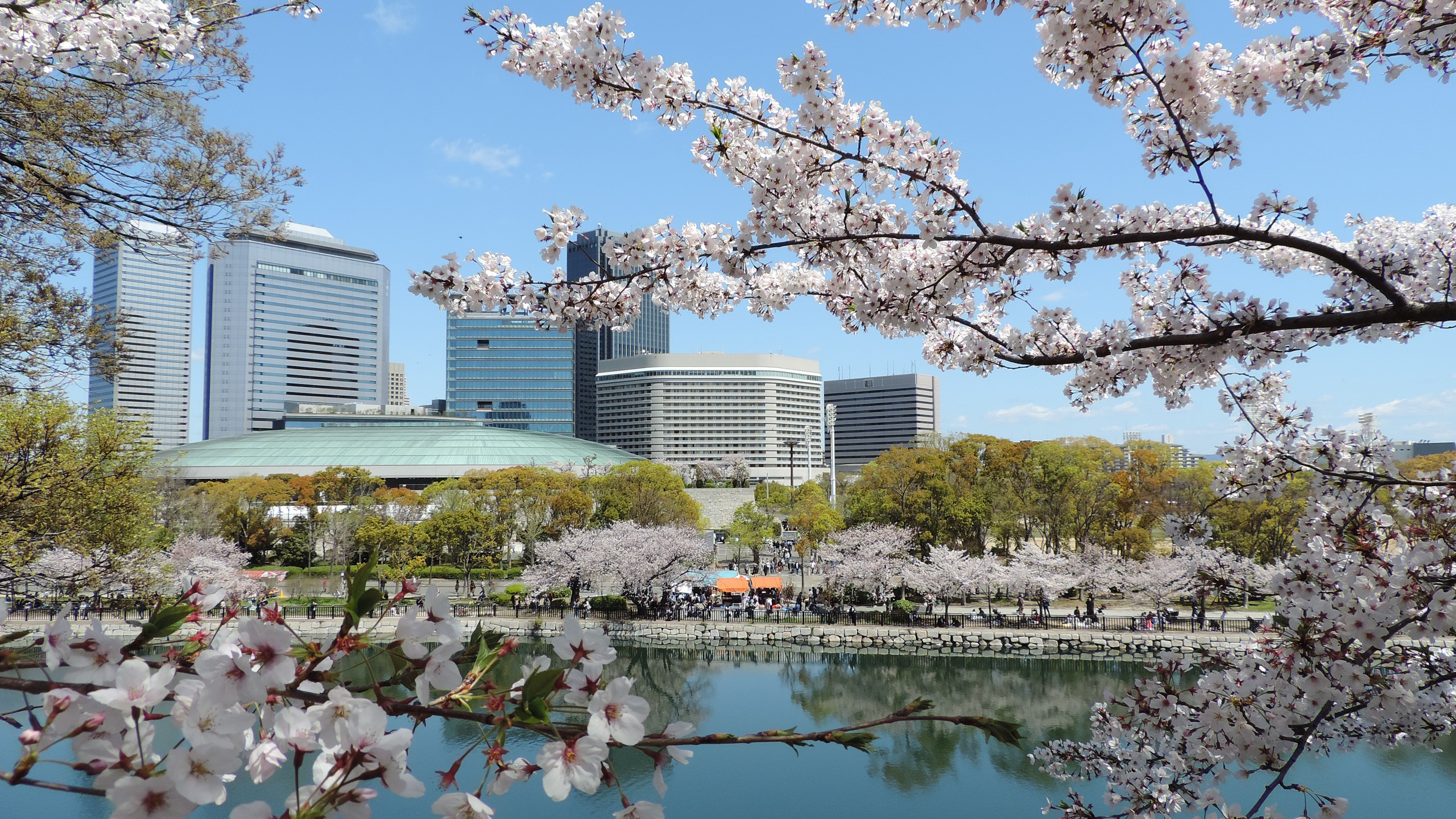 桜咲くホテル外観