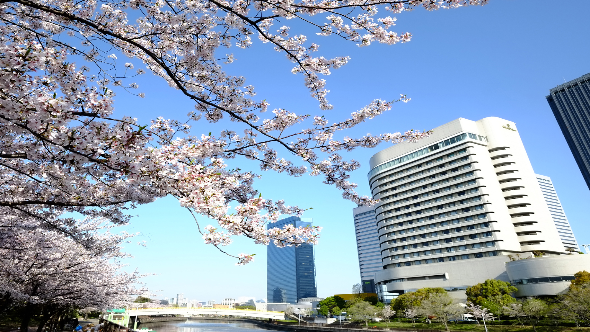 桜の季節のホテルニューオータニ大阪