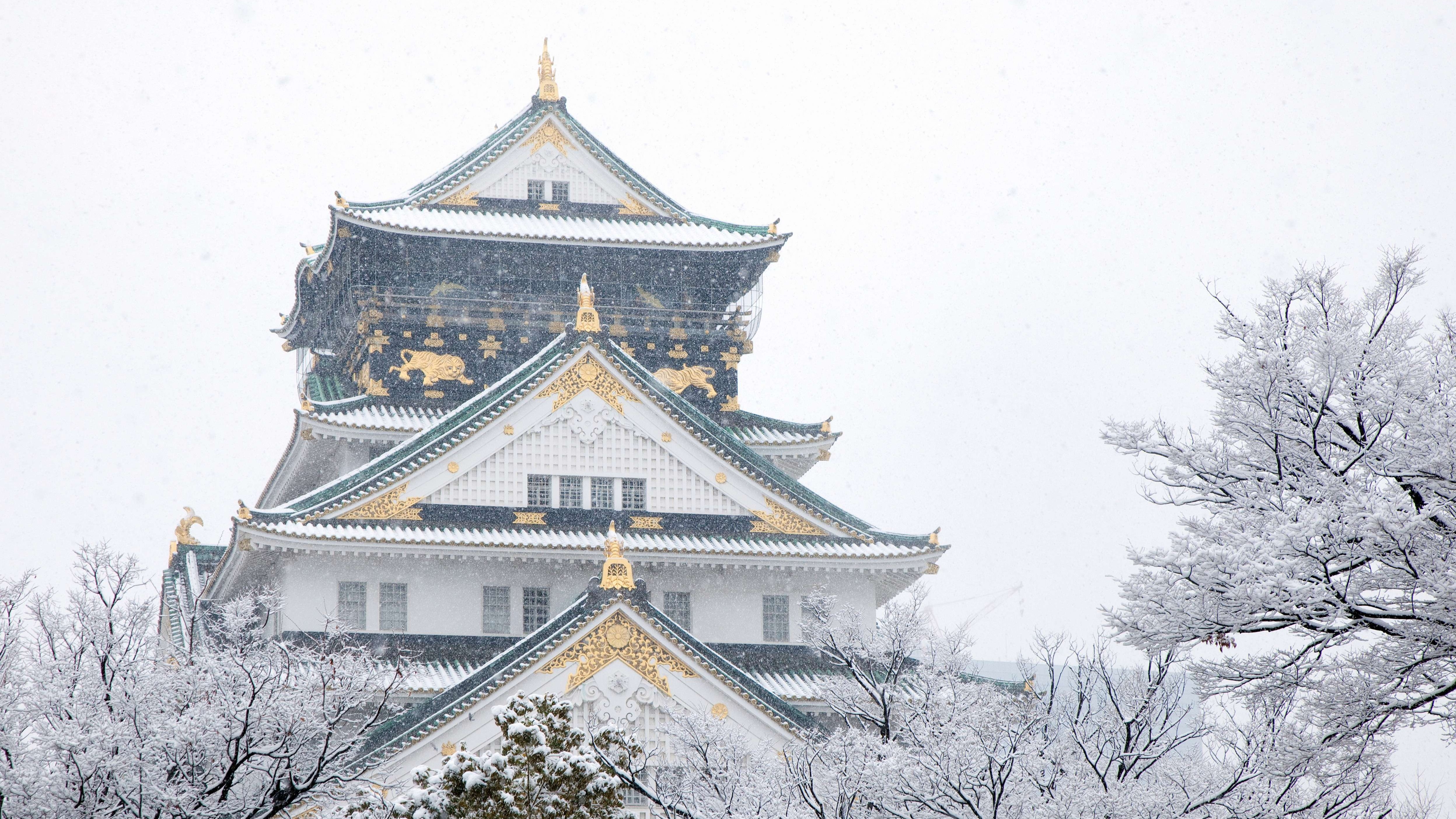 冬の大阪城（イメージ）