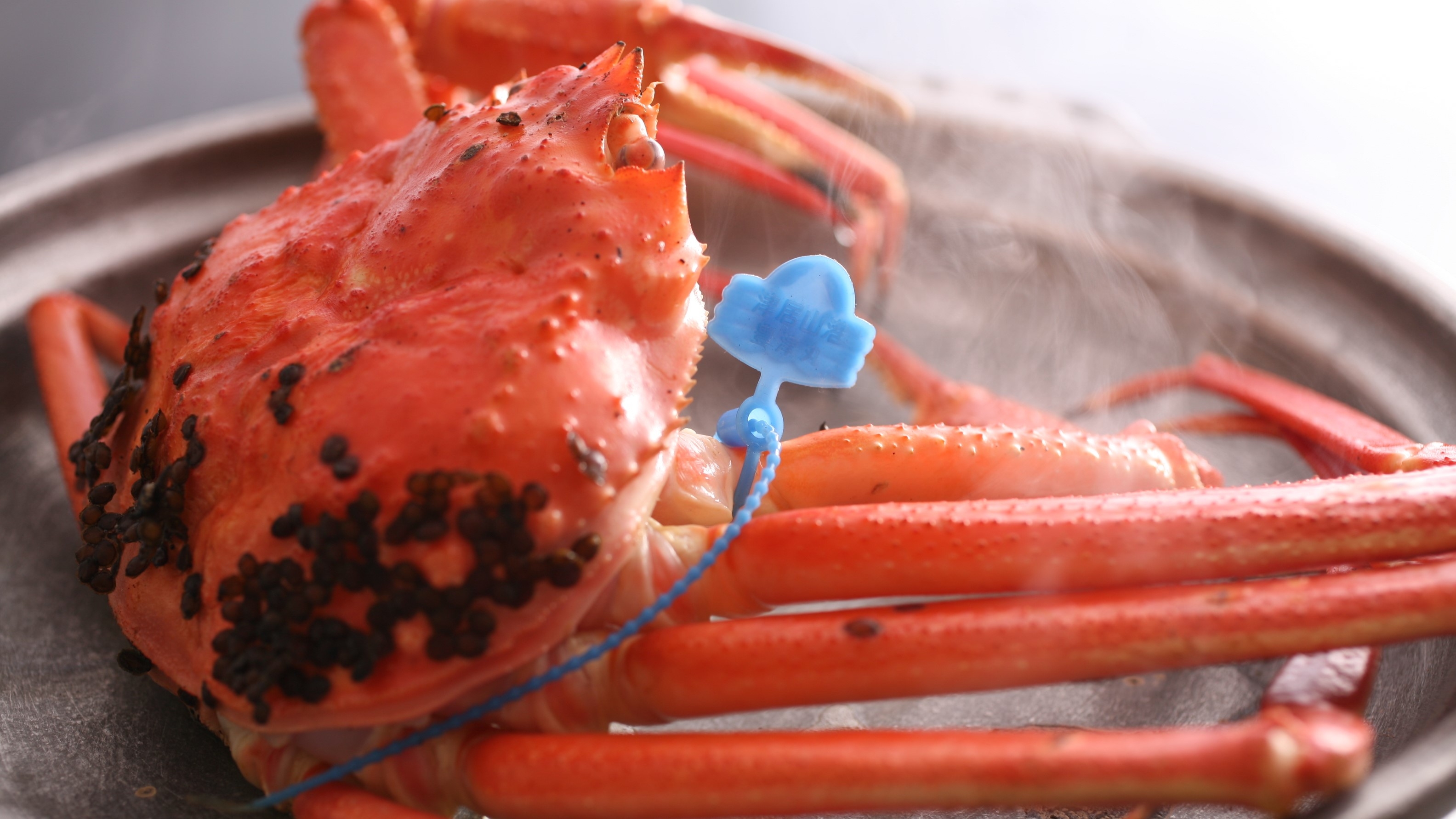 海辺の料理旅館　浜の路　臨江庵