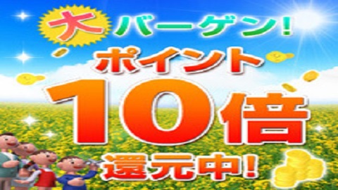 【楽天限定】ポイント10倍　楽天スーパーポイントは色々つかえてとっても便利