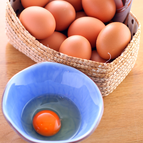 【朝食・夕食2食付きプラン】　充実の朝食+メニューの中から選べる夕食の2食が付いたお得なグルメプラン