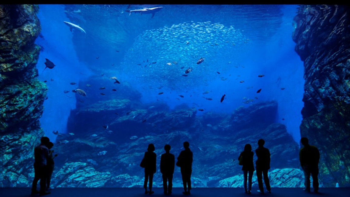 【コラボ企画】仙台うみの杜水族館入館引換券付きプラン◇素泊まり◇＜13時アーリーチェックイン可＞