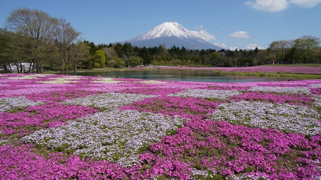 【河口湖から車で約20分】実は富士山観光にも便利！シャトレーゼ運営の温泉旅館／和牛会席