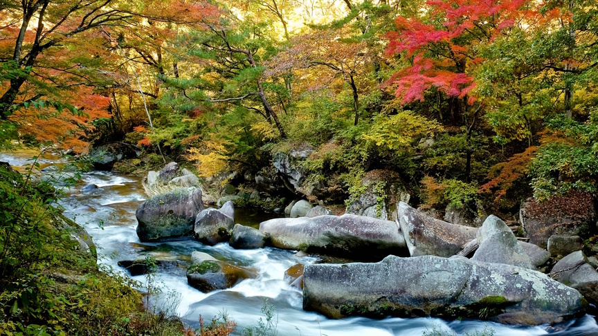 【さき楽28／ほろほろ会席】＜2200円OFF＞主菜はほろほろ鳥のすき焼き！早めの予約でお得に温泉旅