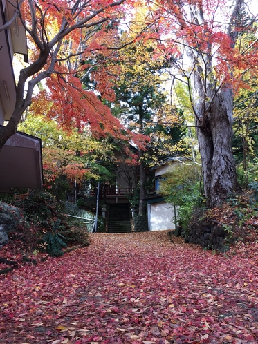 紅葉がおすすめの近辺散策スポット