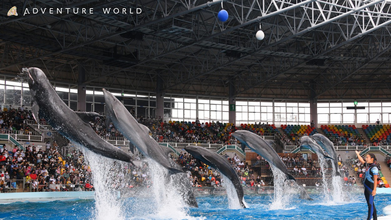 ☆限定☆　アドベンチャーワールド入園券付♪　お得に【素泊まり】プラン