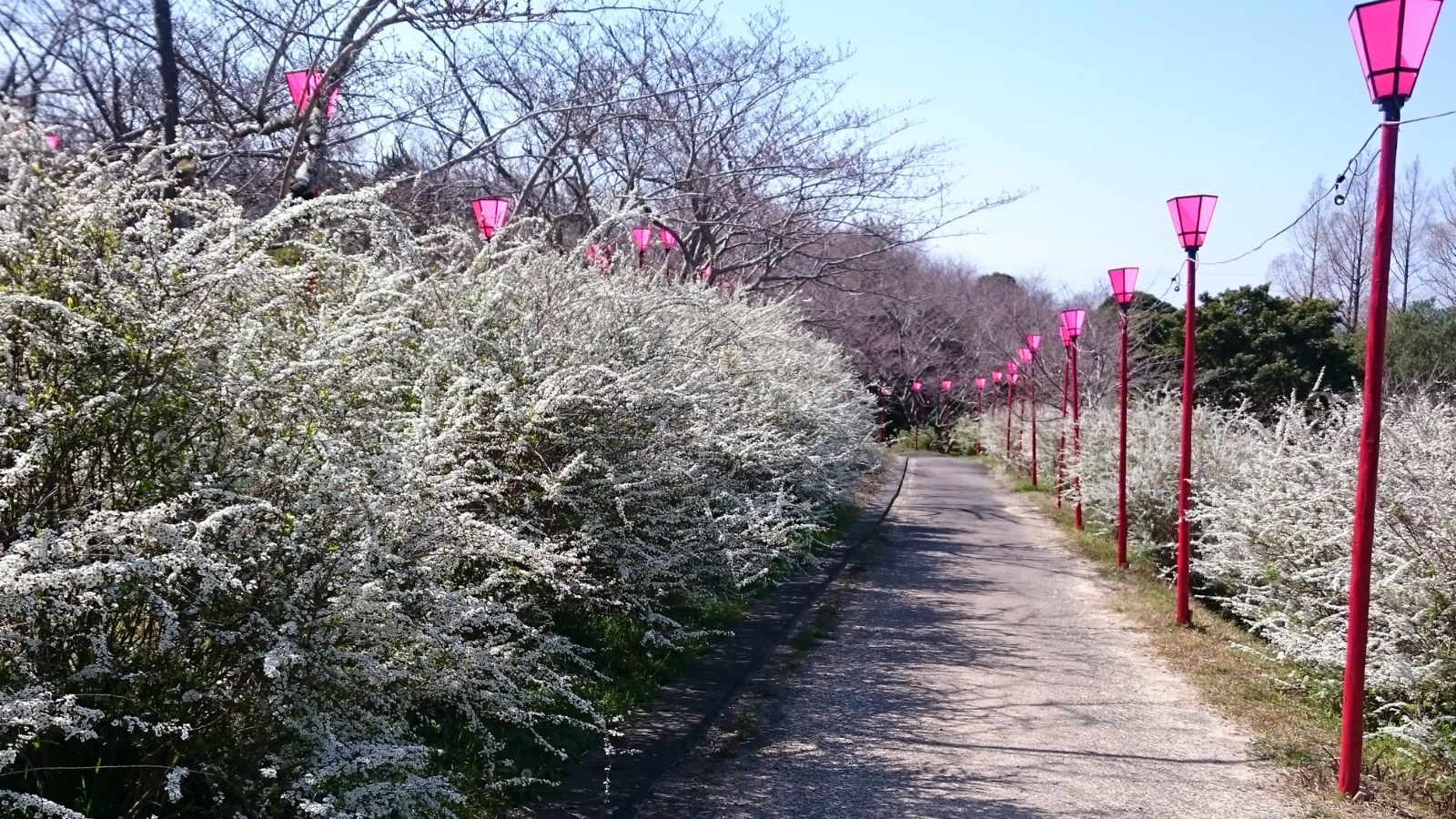 平草原公園