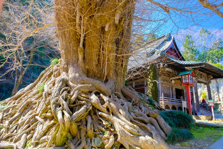 正法寺