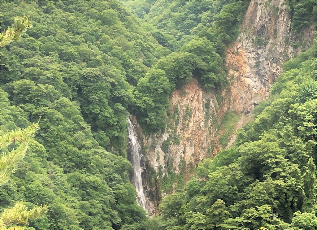 標高1800ｍ、夏の涼旅！オールインクルーシブ乳白色硫黄泉＆絶景露天風呂＋自然派バイキング♪