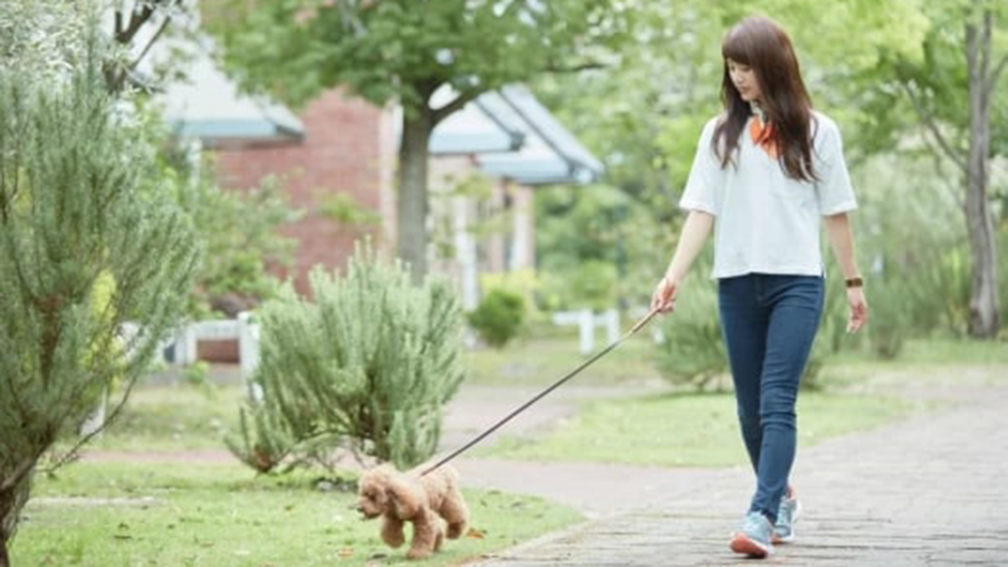 ハウステンボスを愛犬と一緒にお楽しみください。