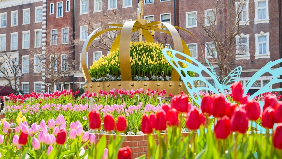 ★〈テイクアウト〉ミッフィーの苺グラスデザート付きプラン（朝食付き）