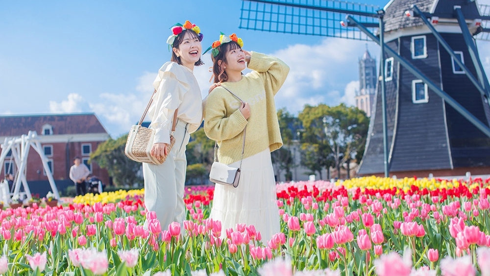 【春旅は早期割がおトク！】早めの予約で楽しむ春限定プラン（素泊まり）