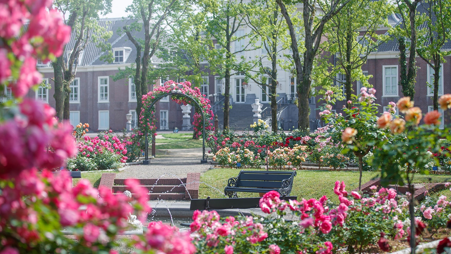 皇室や海外王室の名を冠したバラ、コンクール受賞歴のあるバラが咲き誇る「宮殿ローズガーデン」