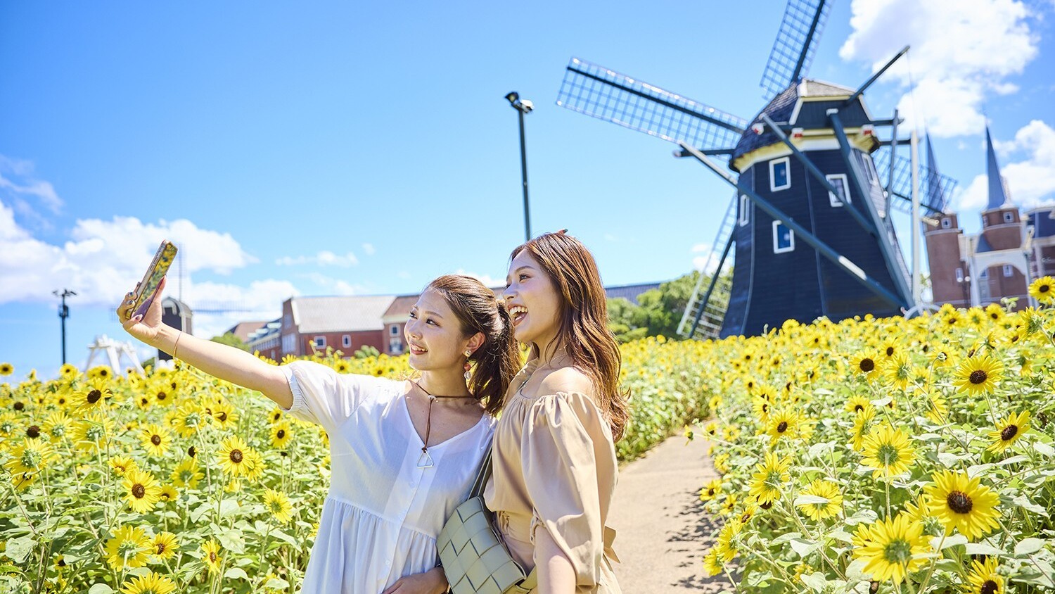 ひまわりと街並みを背景に夏の思い出を残しましょう♪（※昨年の様子）