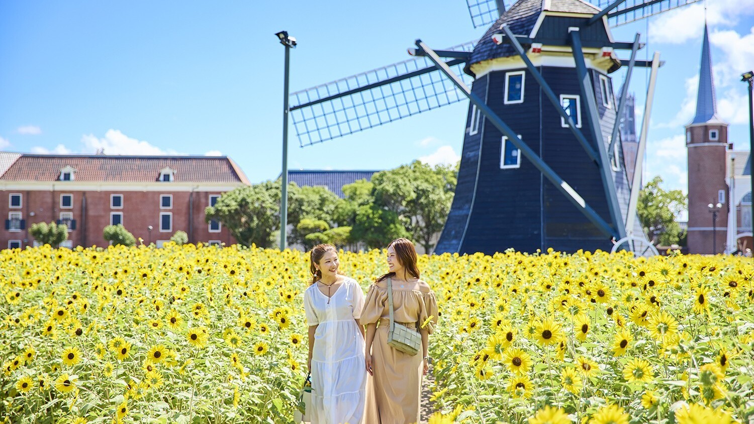 黄金色のひまわりに囲まれて、非日常の休日を。（※昨年の様子）