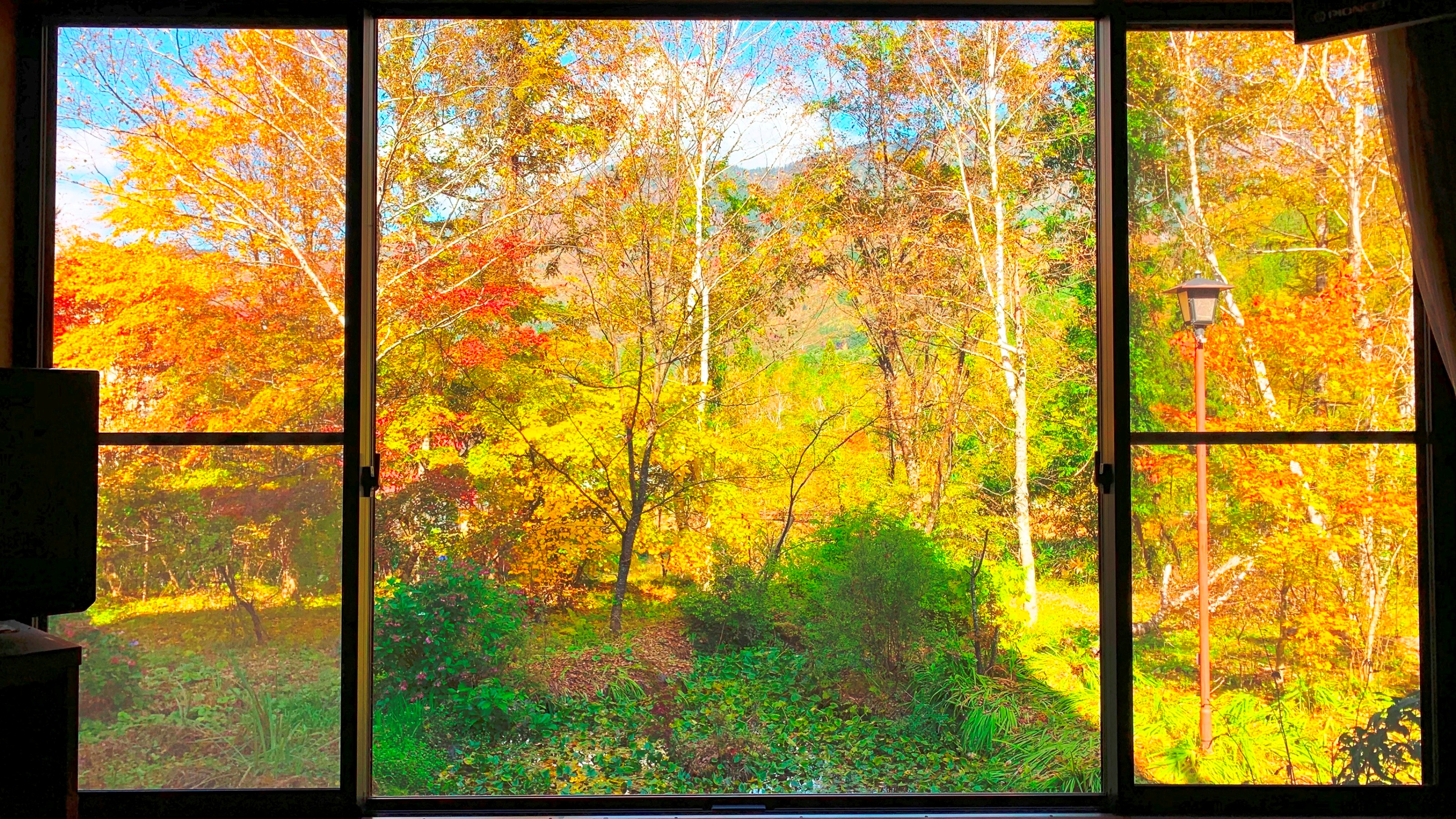 【館内】湯上り処から眺める秋景色