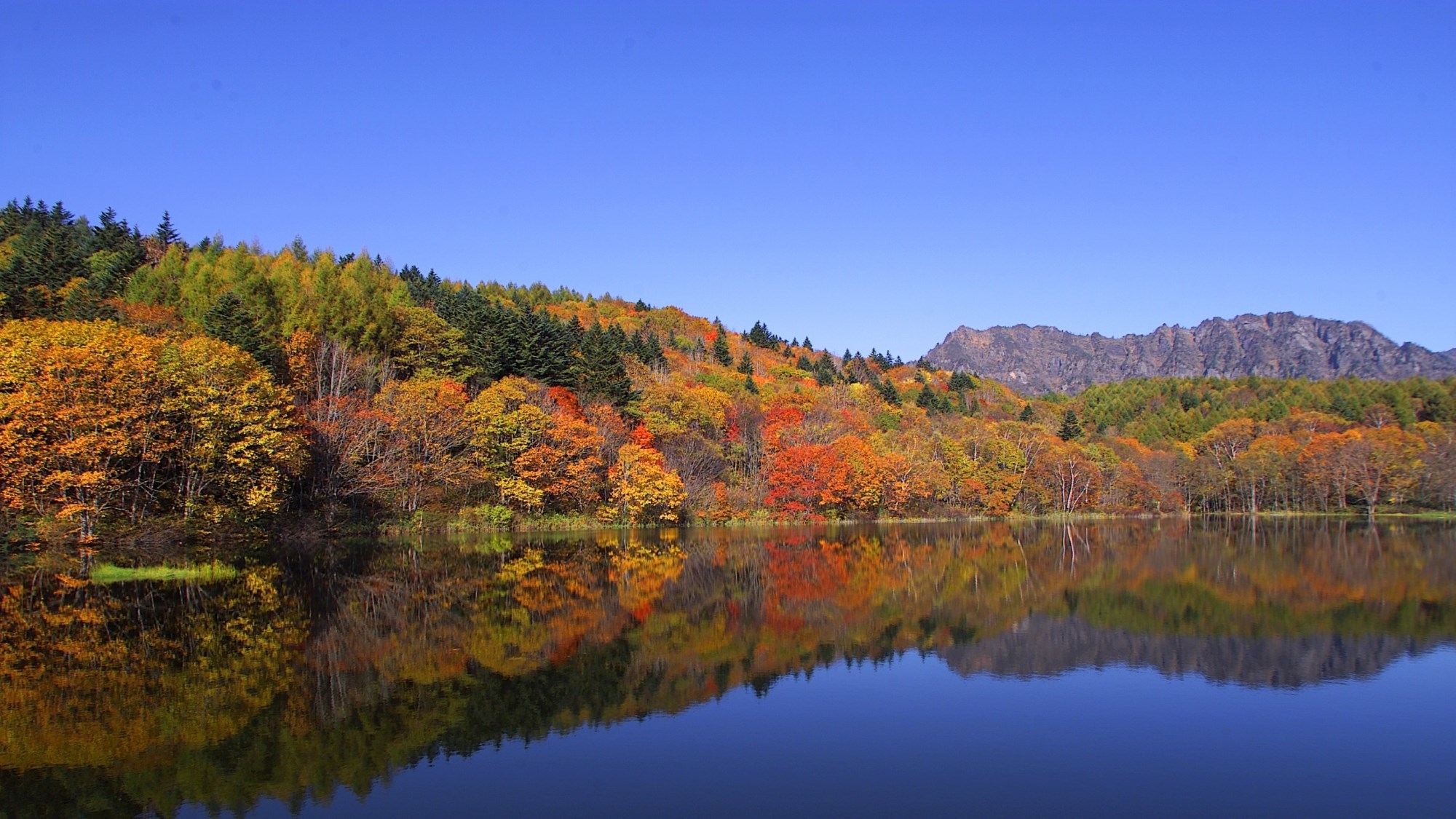 持ち込みOK！自由気ままに滞在♪コテージ宿泊【朝食付】プラン