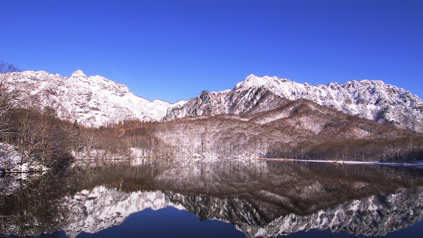 レストランでの夕食・朝食付♪コテージ宿泊【１泊２食付】プラン　