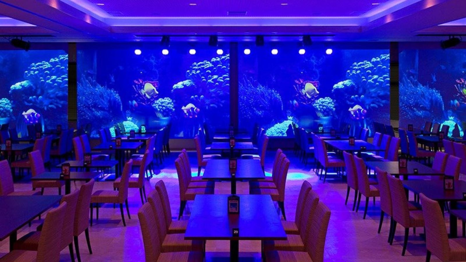 宴会場兼会場　スクリーン海底