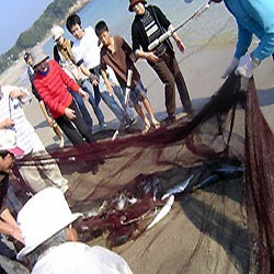和造りの料理と湯の宿 かず美 - 写真 291