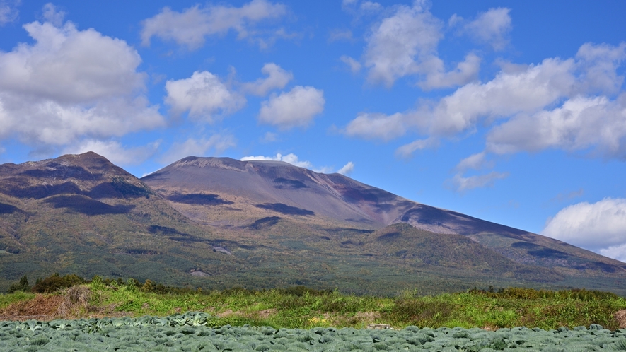 【浅間山】初夏～秋にかけて様々な高山植物を見る事ができる標高2,568mの活火山（夏）