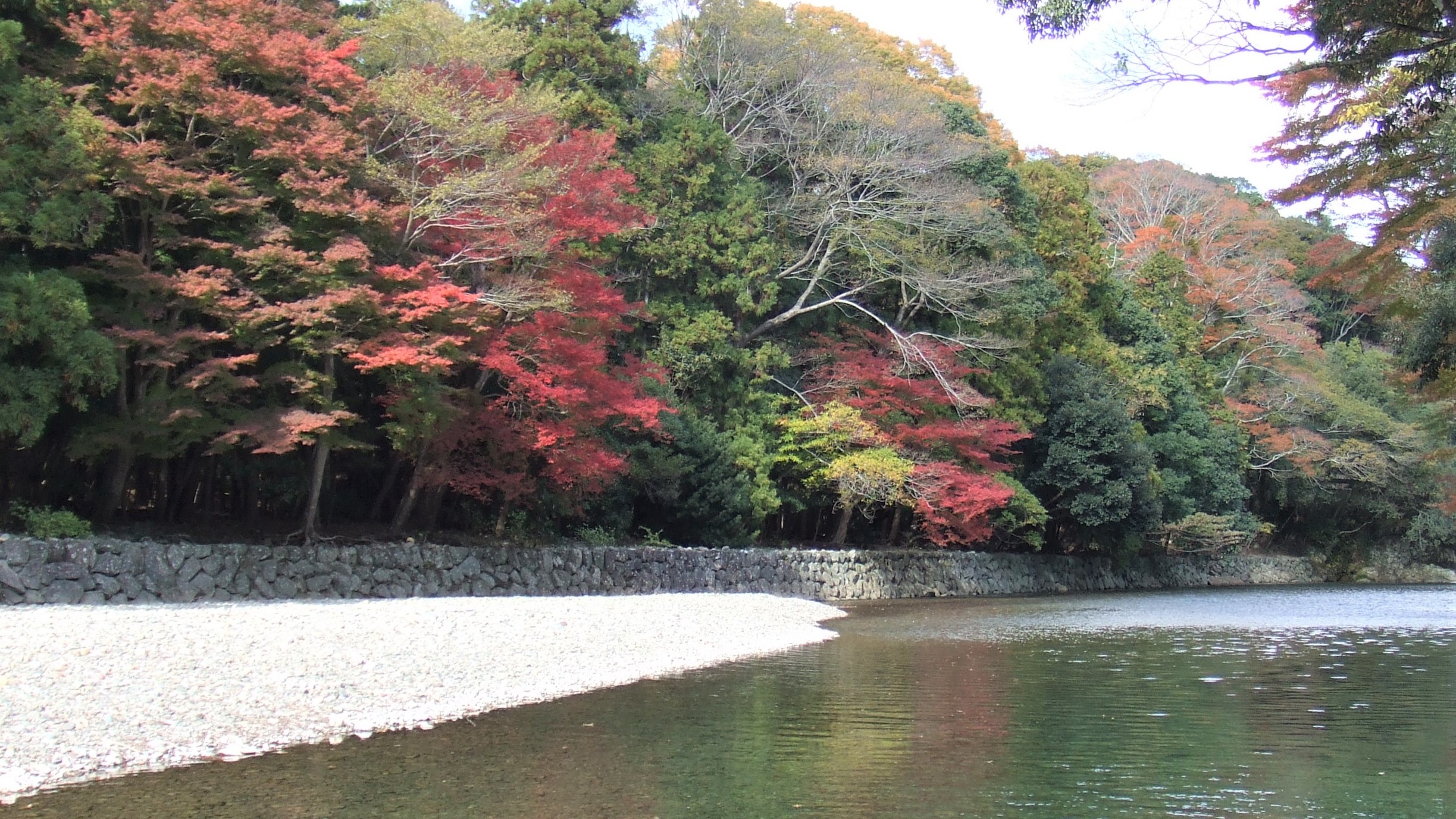 五十鈴川（伊勢神宮内宮）
