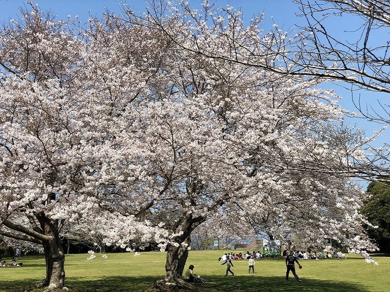 【春SALE】 海と自然の中で優雅なリゾートステイ│温泉・あそび場＜オールインクルーシブ・早割＞