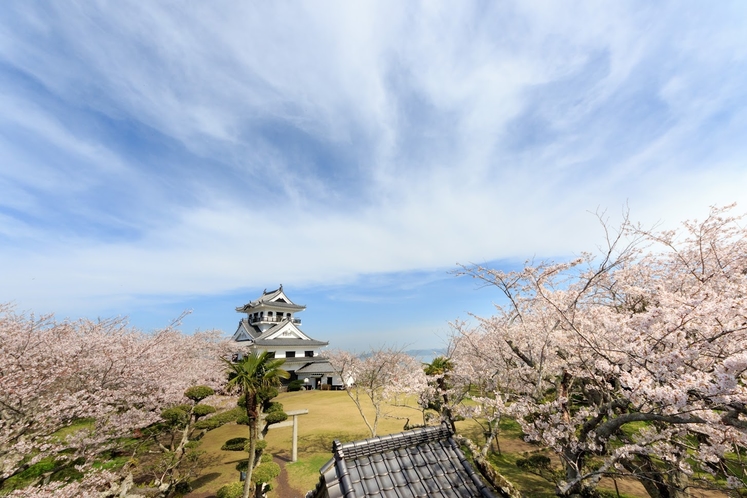 海と桜のコントラストが美しい「館山城」