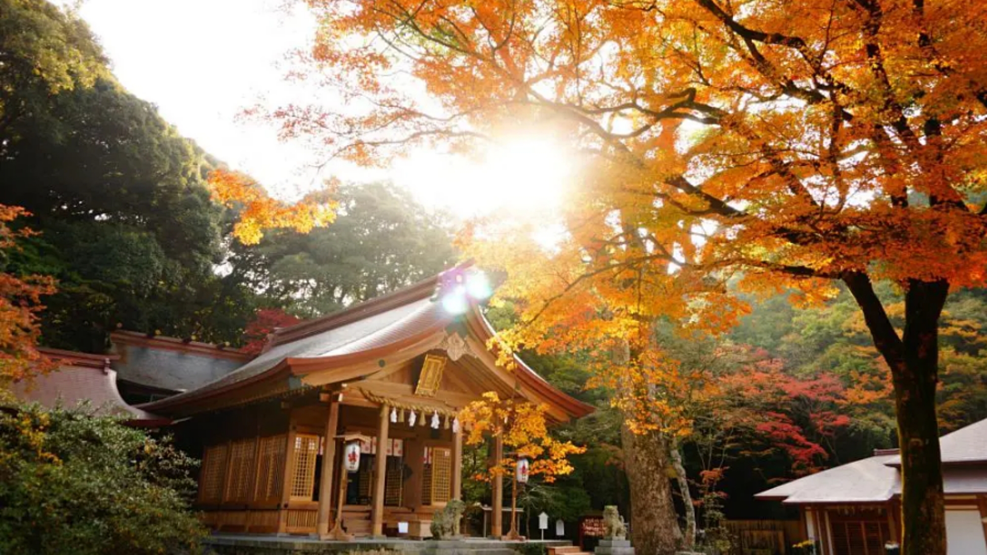 紅葉おすすめスポット