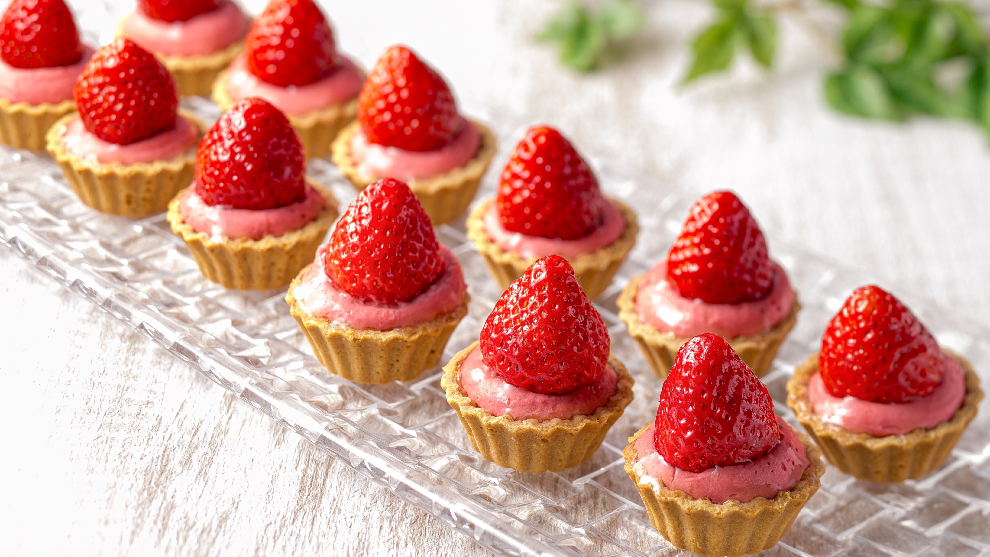 ＜2/14～4/30＞夕食／いちごタルト